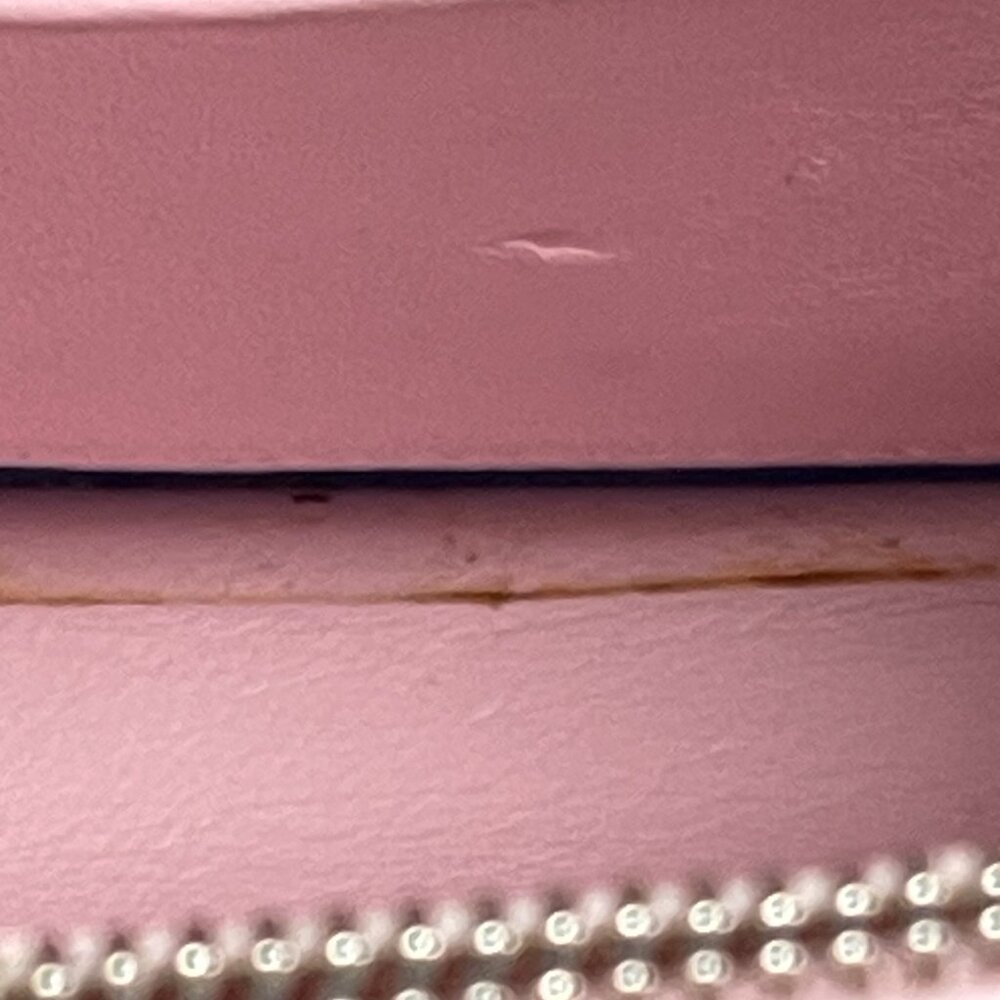 Christian Dior Miss Dior Promenade Heart Badge Wallet on a Chain - Preowned - Picture 9 of 13